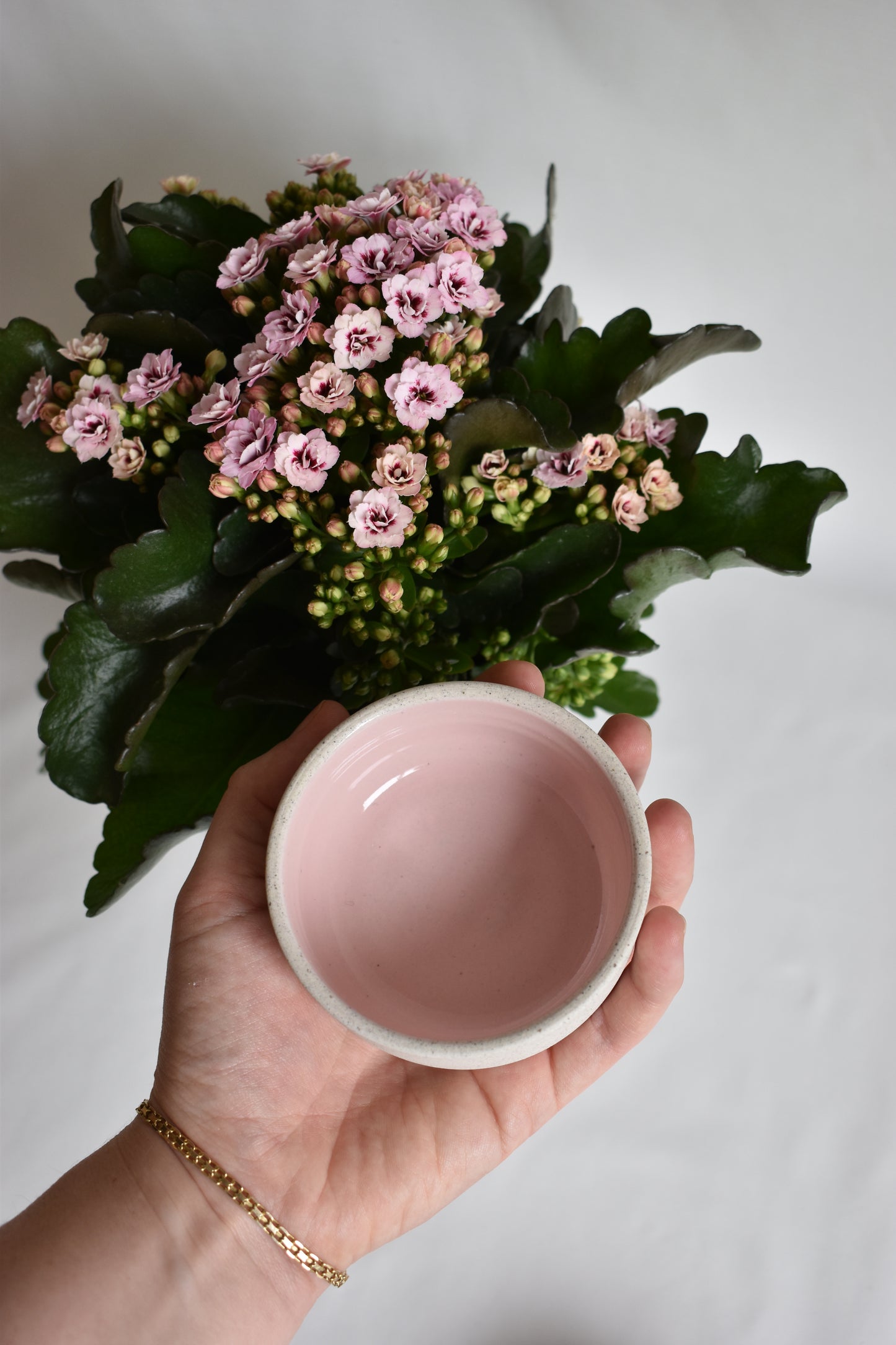 Limited Edition Pink Kiki condiment bowl